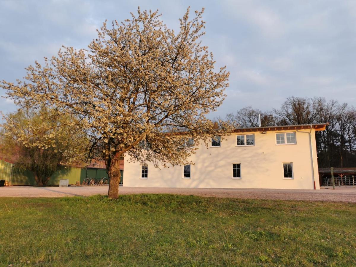 Ferienwohnung Gestuet Von Erden Haßloch Kültér fotó